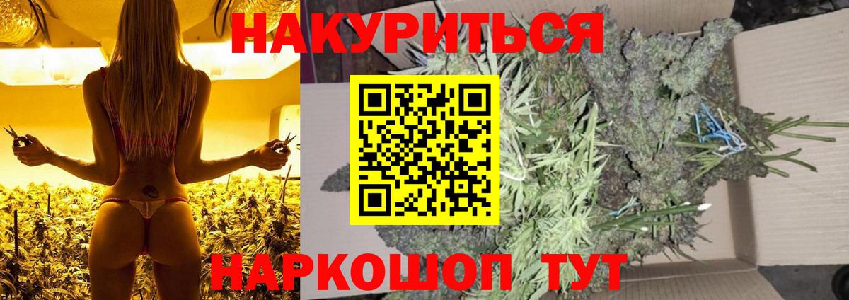 Бошки Шишки планчик  Канабис индика  Конопля Bruce Banner  Каменск-Шахтинский  Вход с VPN 